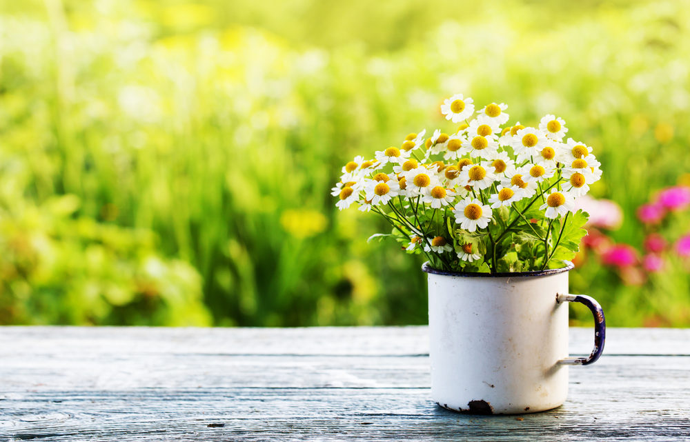 Winter ade — Frühling juchhe!